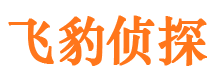 任城侦探公司